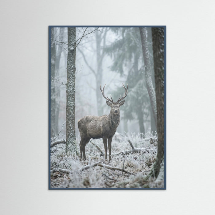 Teal Wood Misty Bear Wanderer