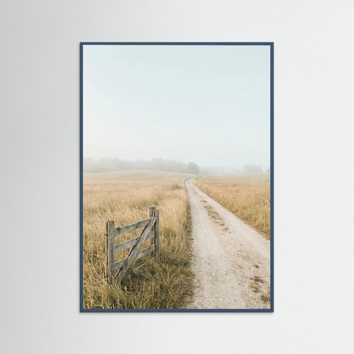 Teal Wood Misty Coastal Path