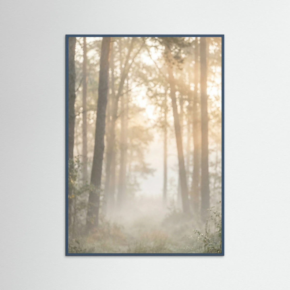 Teal Wood Misty Morning Shore