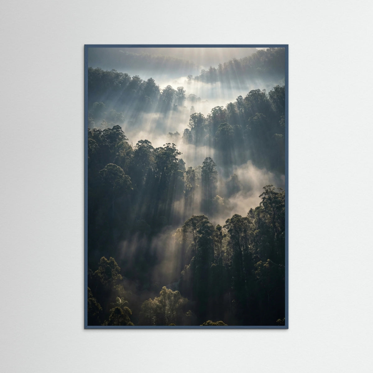 Teal Wood Misty Mountain Lake