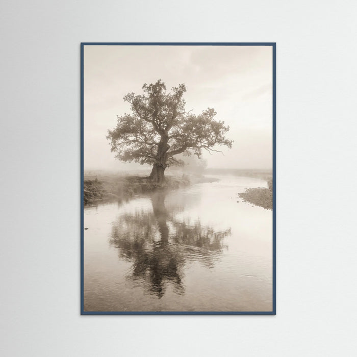 Teal Wood Misty Mountain Serenity