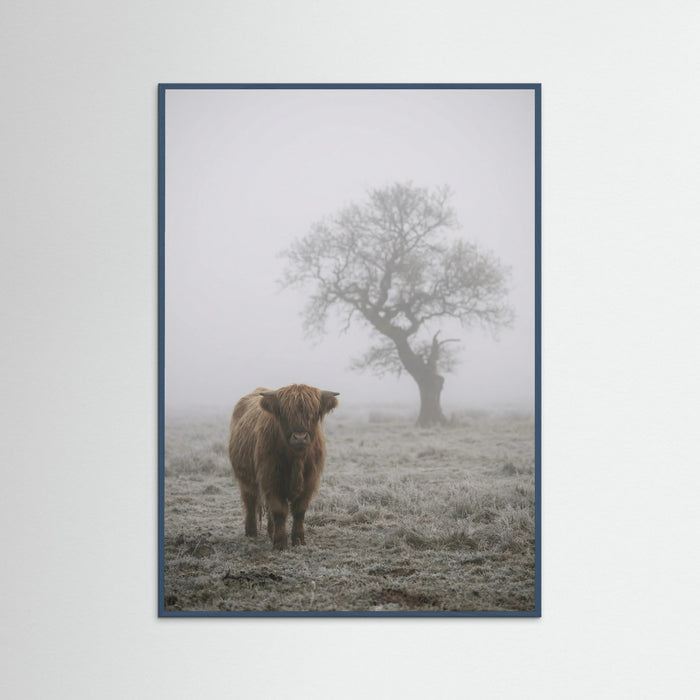 Teal Wood Misty Sheep