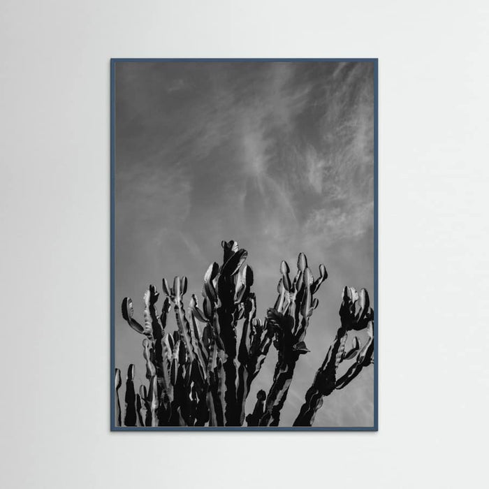 Teal Wood Monochrome Cactus Sky Poster