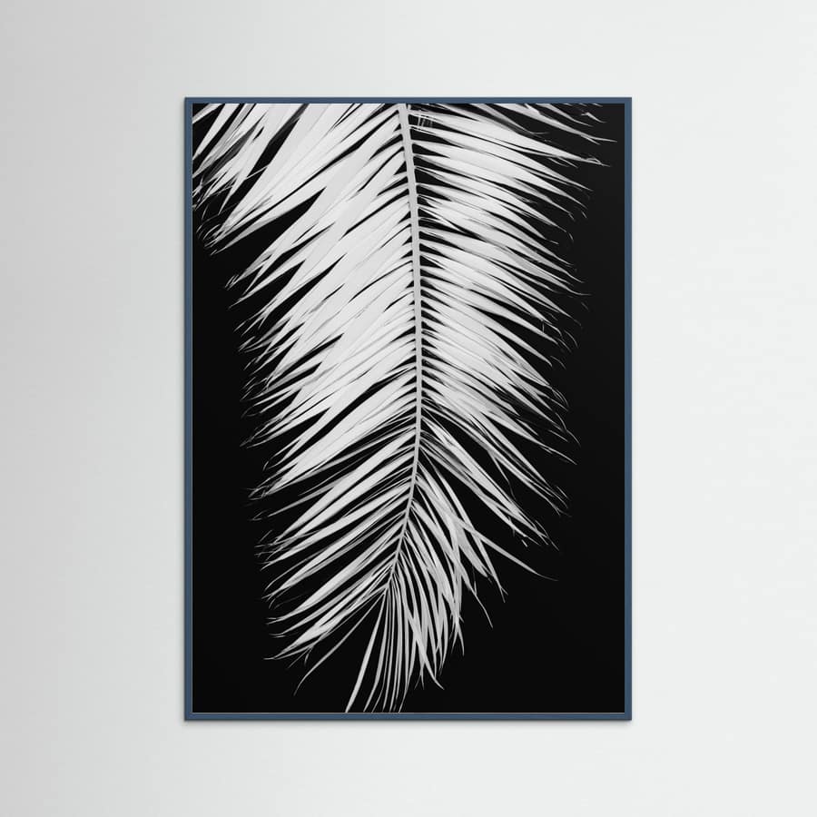 Poster Monochrome Palm Elegance – poster e stampa artistica