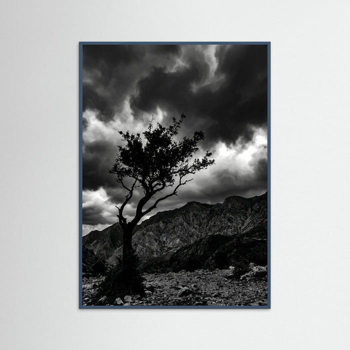 Teal Wood Monochrome Seascape