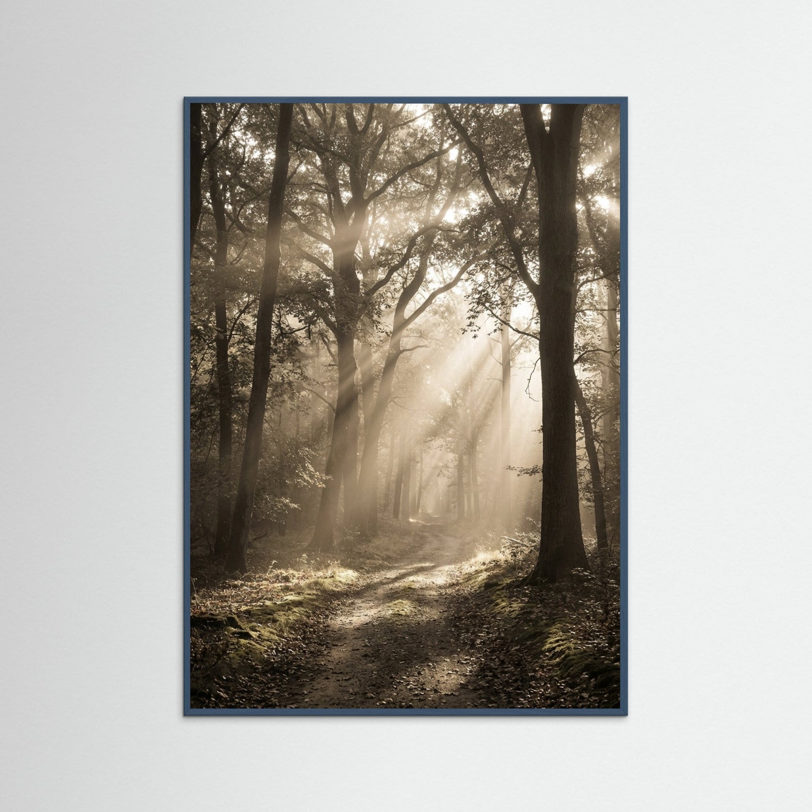 Teal Wood Morning Radiance