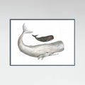 Poster Mother and Baby Sperm Whale – poster e stampa artistica