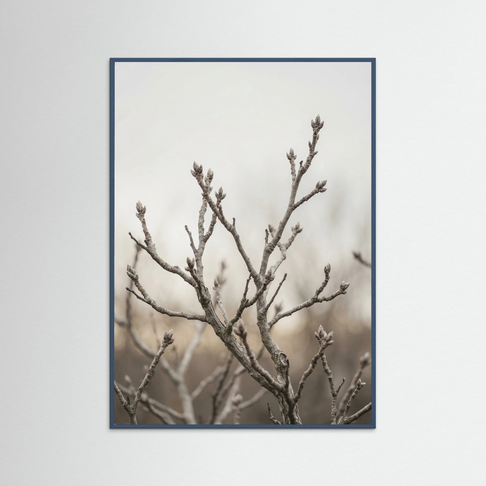 Teal Wood Muted Field