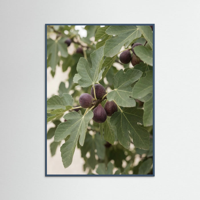 Teal Wood Olive Branch