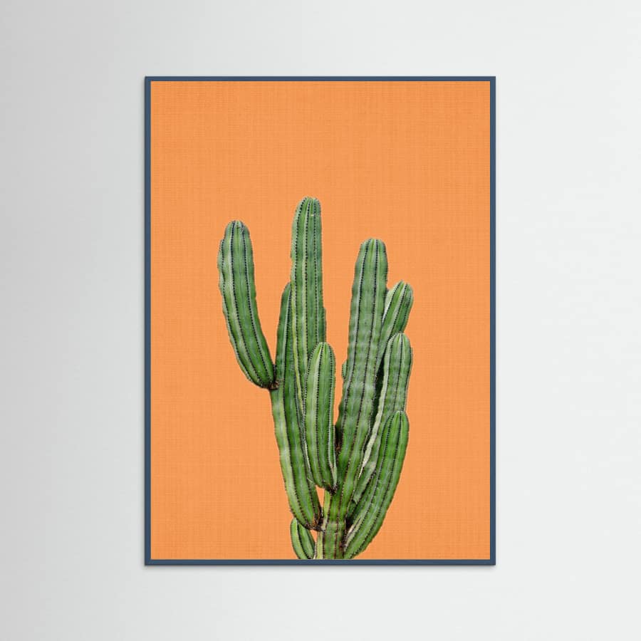 Teal Wood Orange Cactus Poster