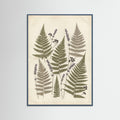 Teal Wood Pressed Botanicals