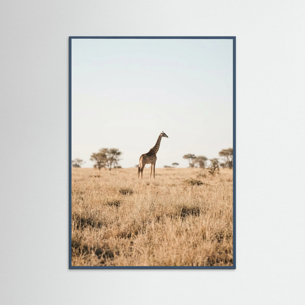 Teal Wood Savannah Solitude