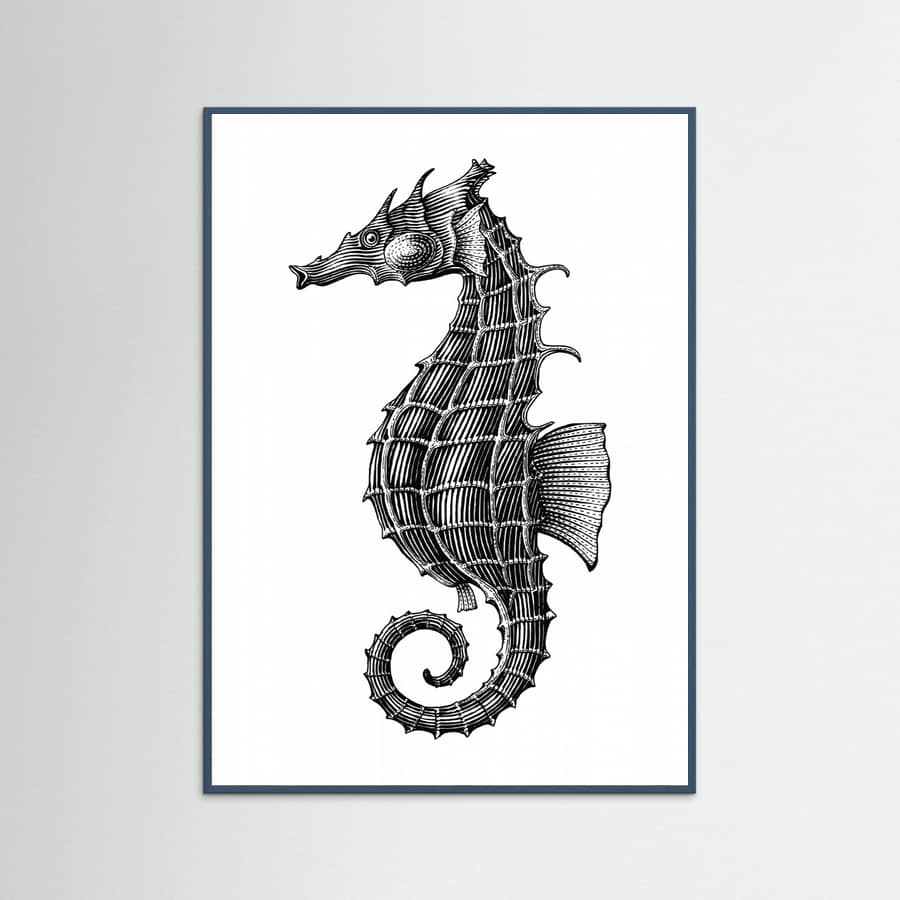 Affiche Seahorse – affiche et impression d’art