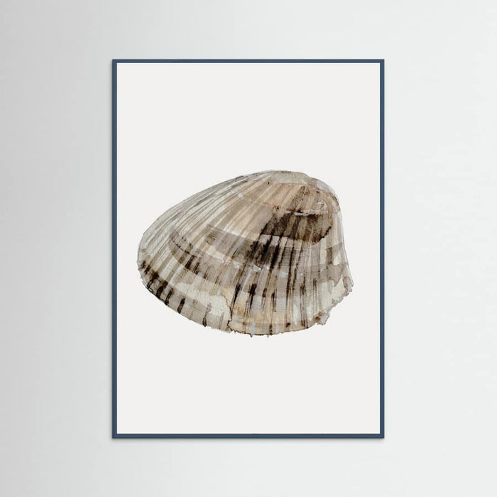 Poster Seashell – poster e stampa artistica