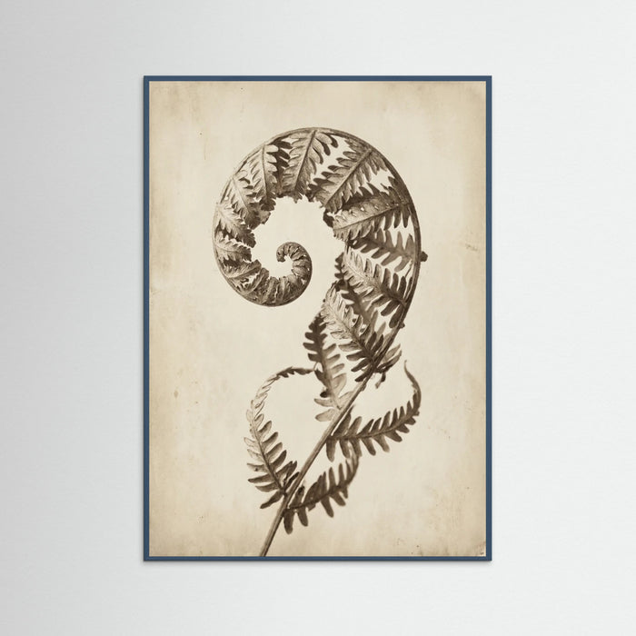 Teal Wood Seed Pod Study