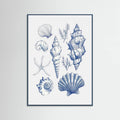 Plakat Shell Collage – plakat i druk artystyczny