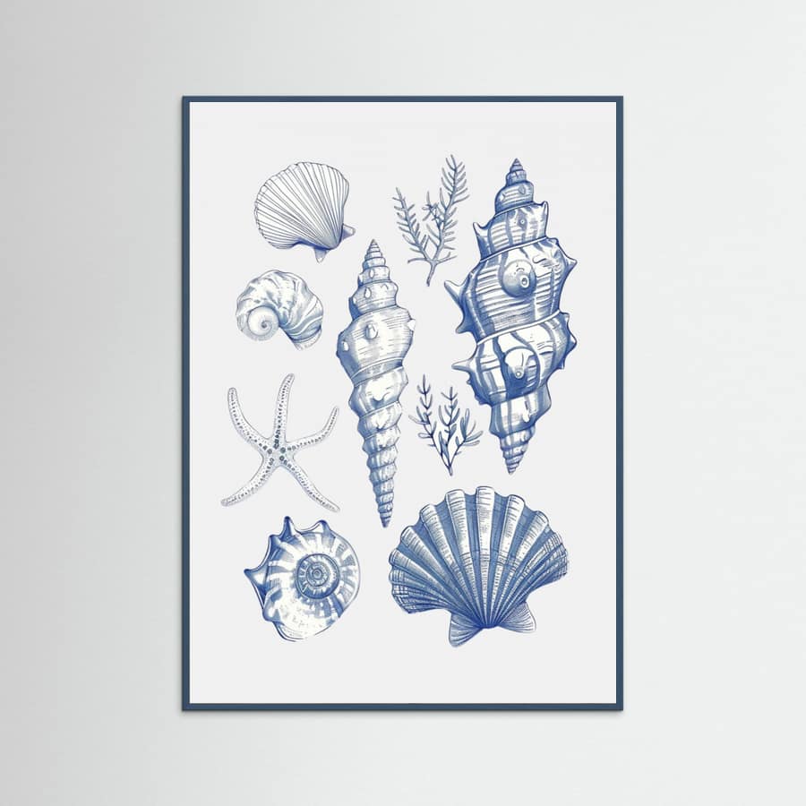 Plakat Shell Collage – plakat i druk artystyczny