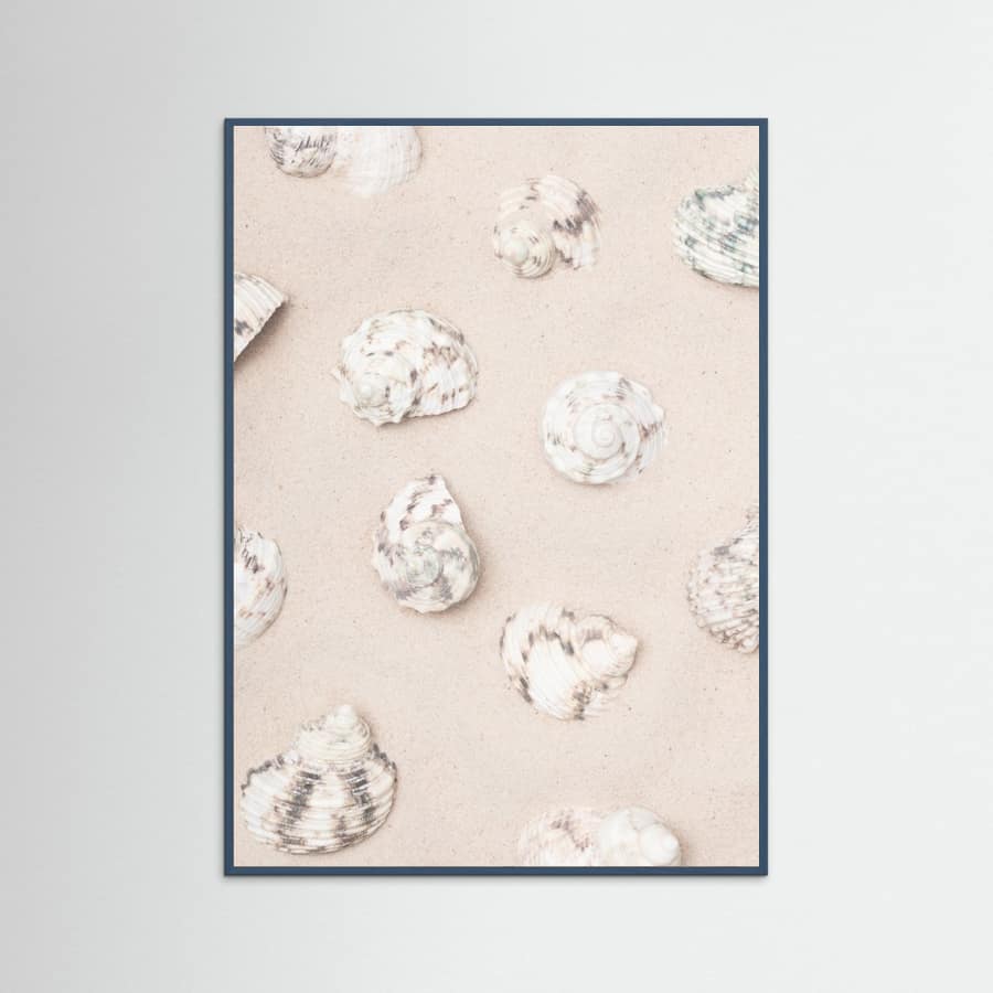 Shells_2 Poster – Poster und Kunstdruck