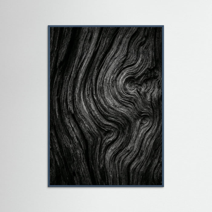 Teal Wood Silent Leaves