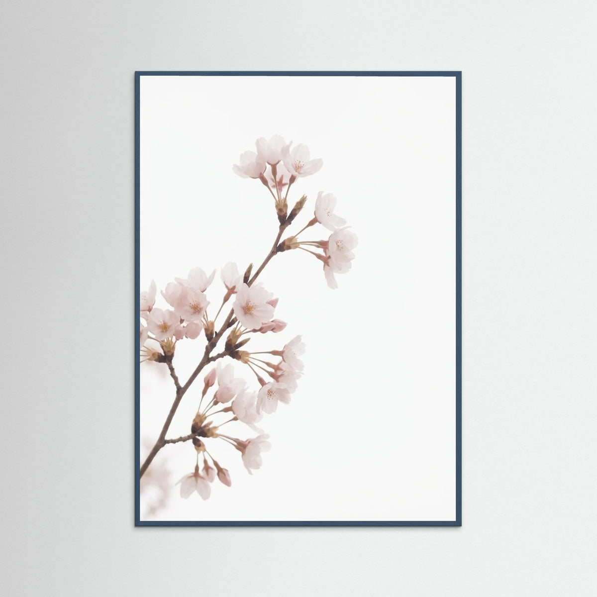 Teal Wood Soft Bloom Study