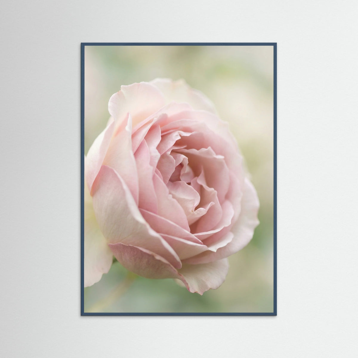 Teal Wood Soft Bloom