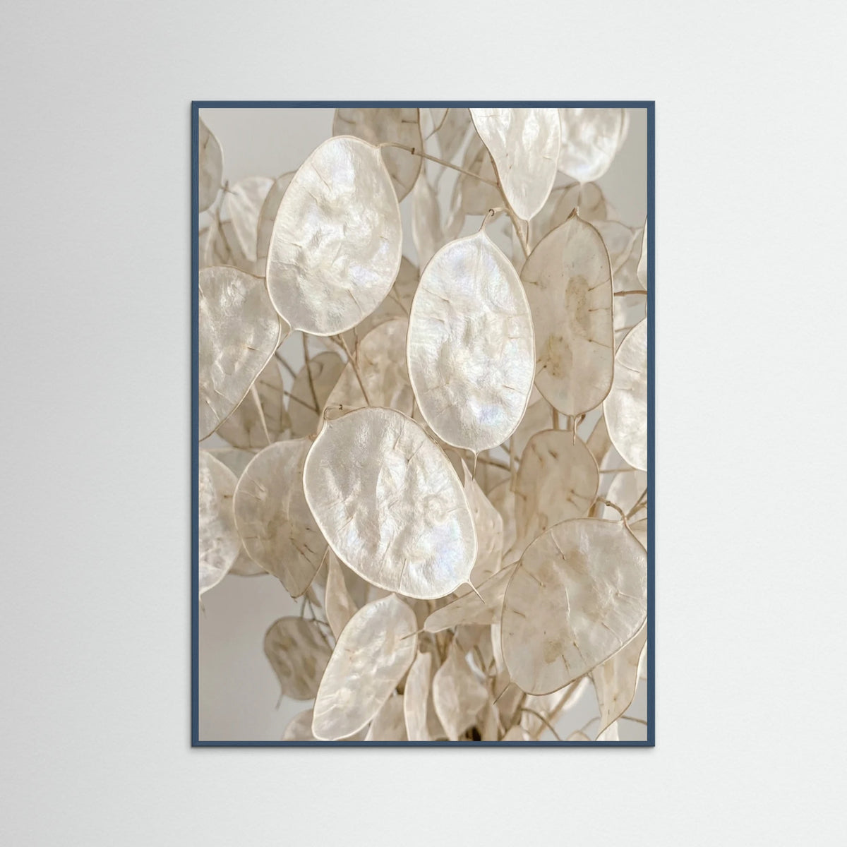 Teal Wood Soft Petal Dreams