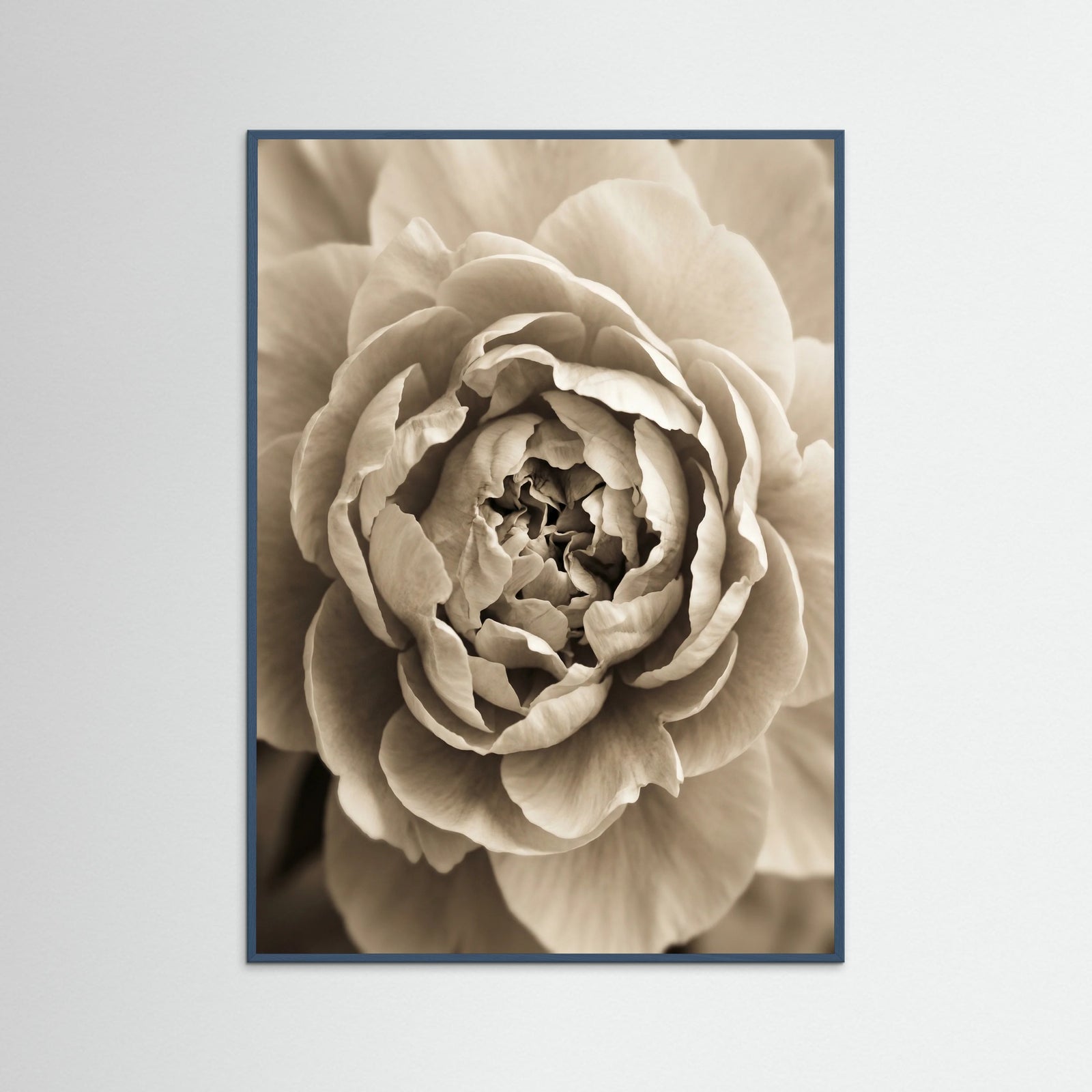 Teal Wood Soft Petals