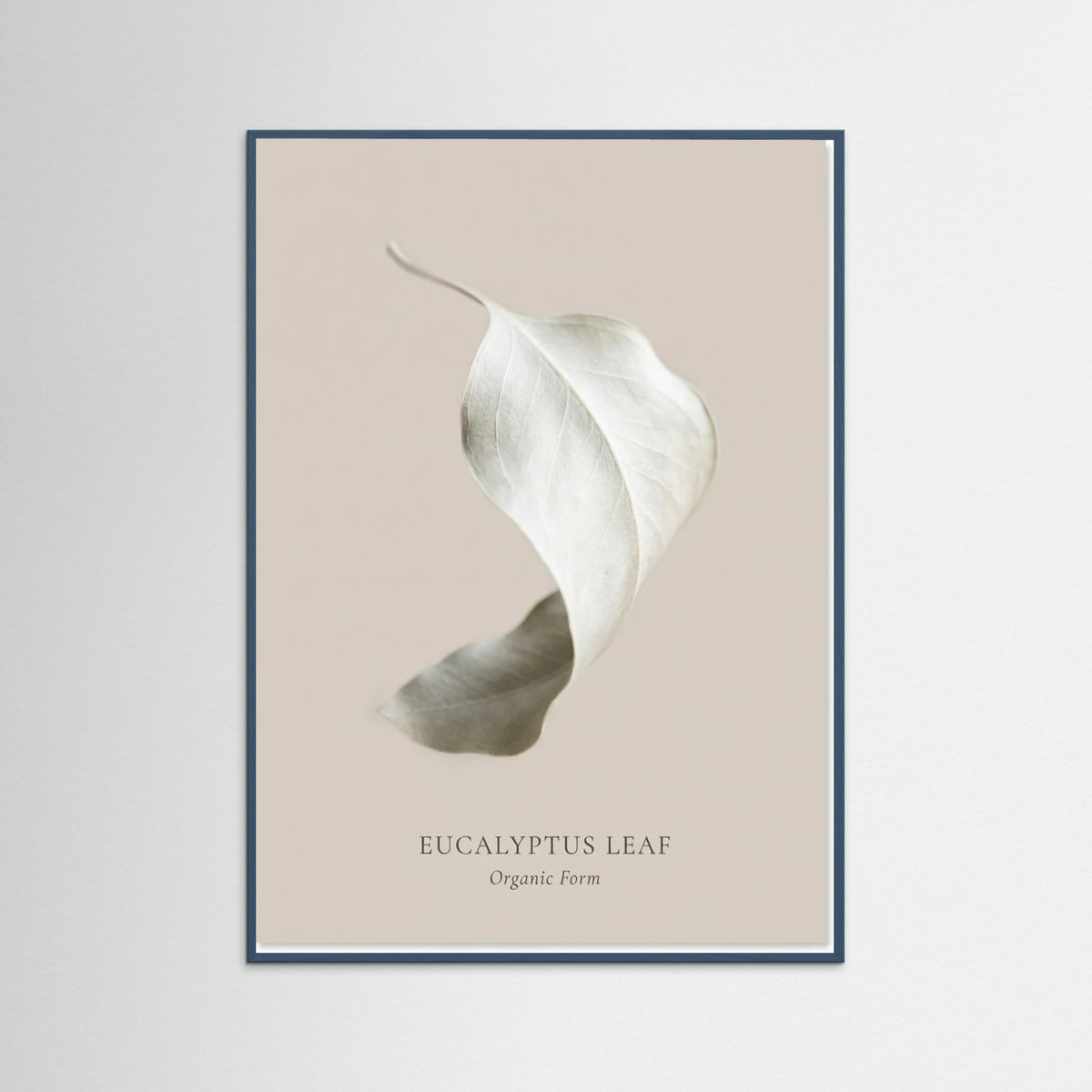 Teal Wood Soft Radiance