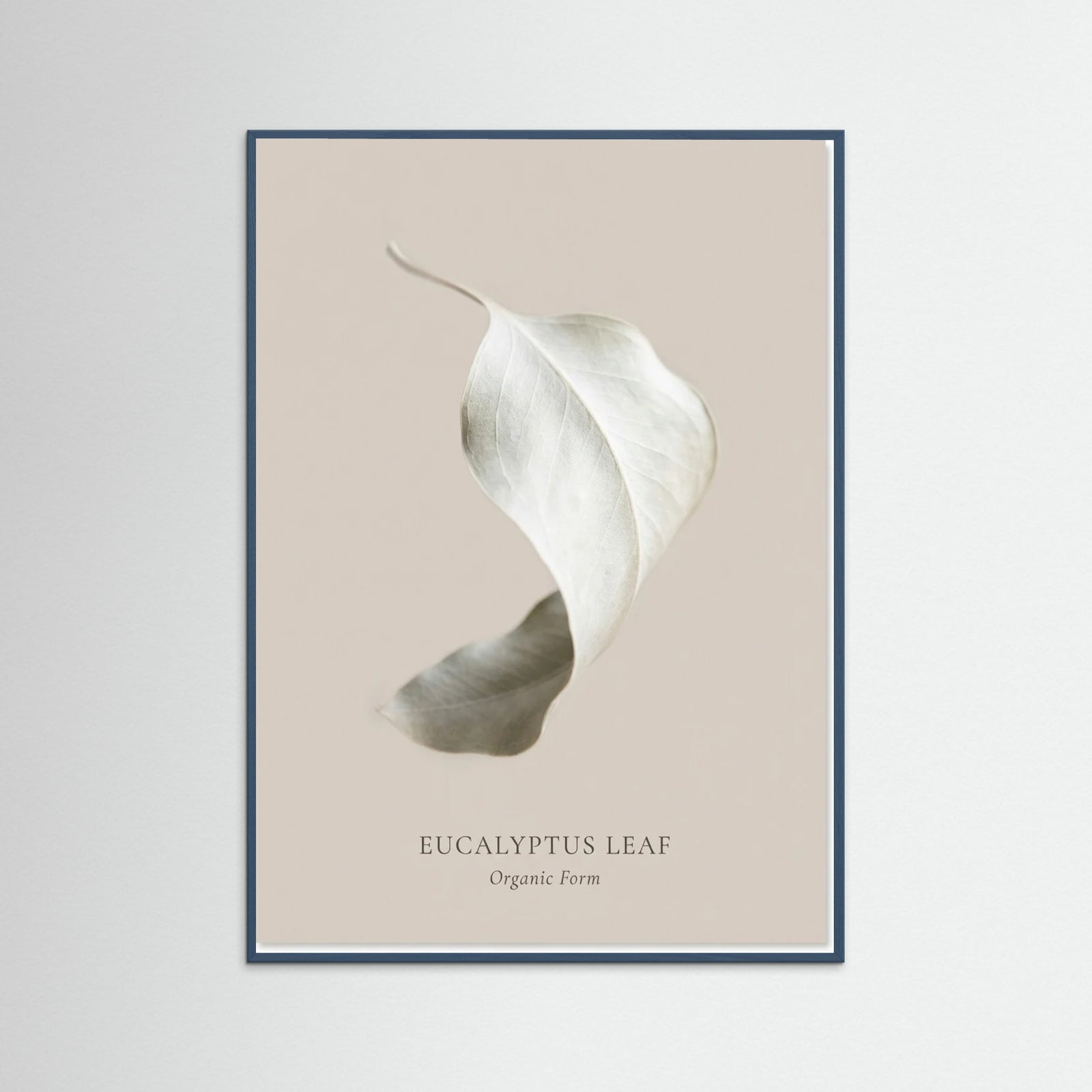 Teal Wood Soft Radiance