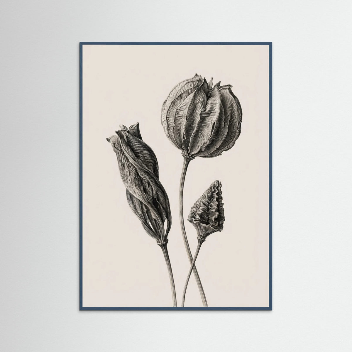 Teal Wood Solitary Bloom