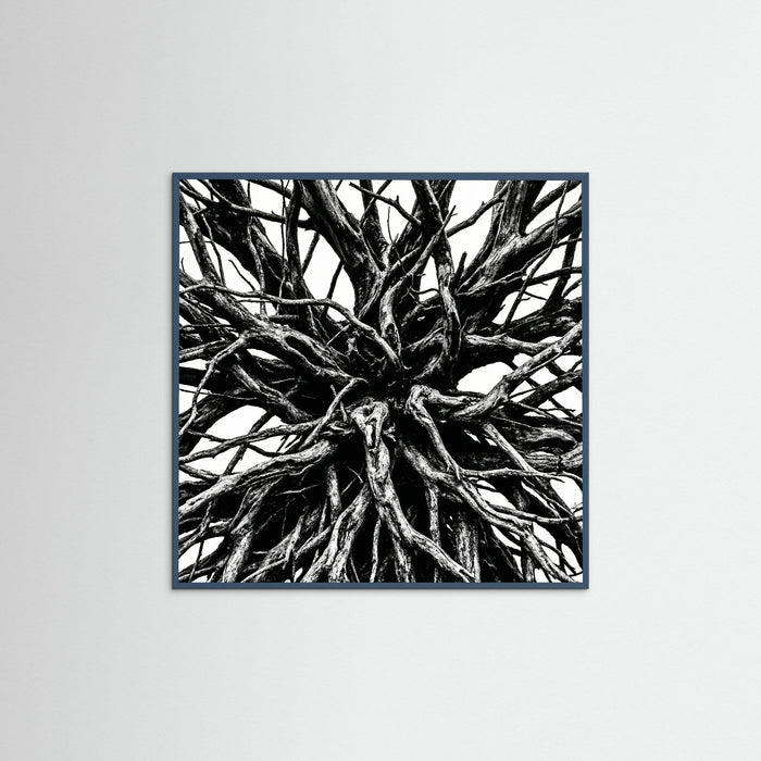 Teal Wood Square Dense Thicket