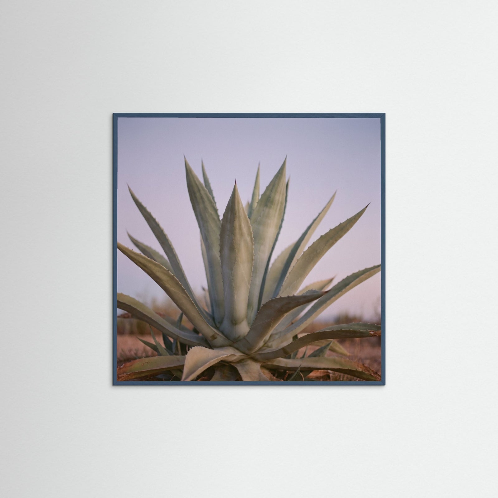 Teal Wood Square Muted Opuntia