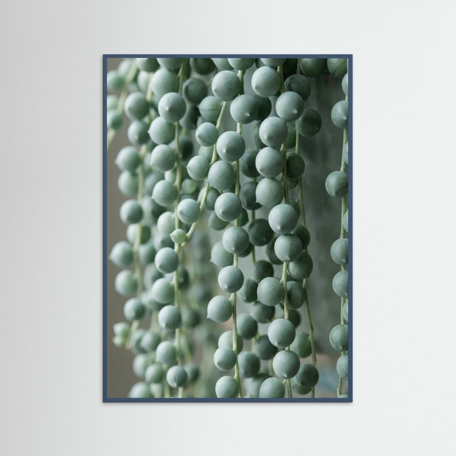 Teal Wood Succulent Serenity