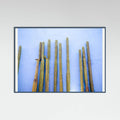 Teal Wood Tall Cacti on Blue | Oaxaca Mexico Travel Poster
