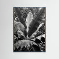 Teal Wood Tropical Canopy