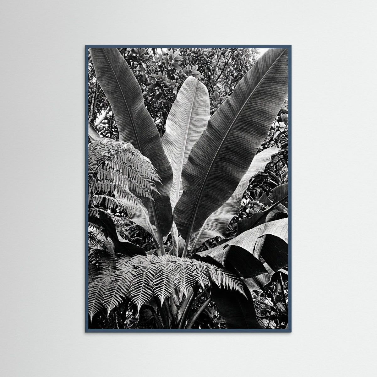 Teal Wood Tropical Canopy