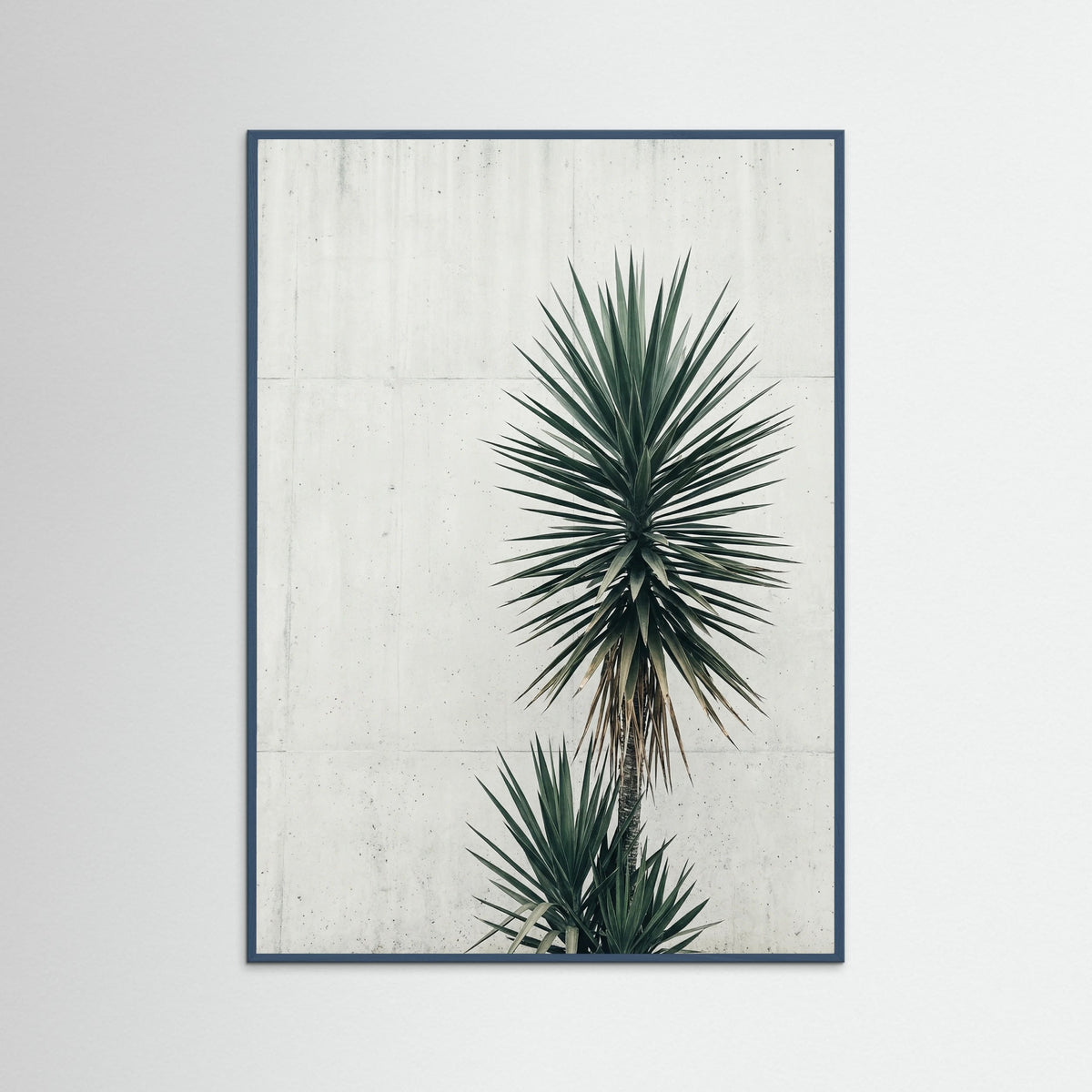 Teal Wood Urban Palms Vista