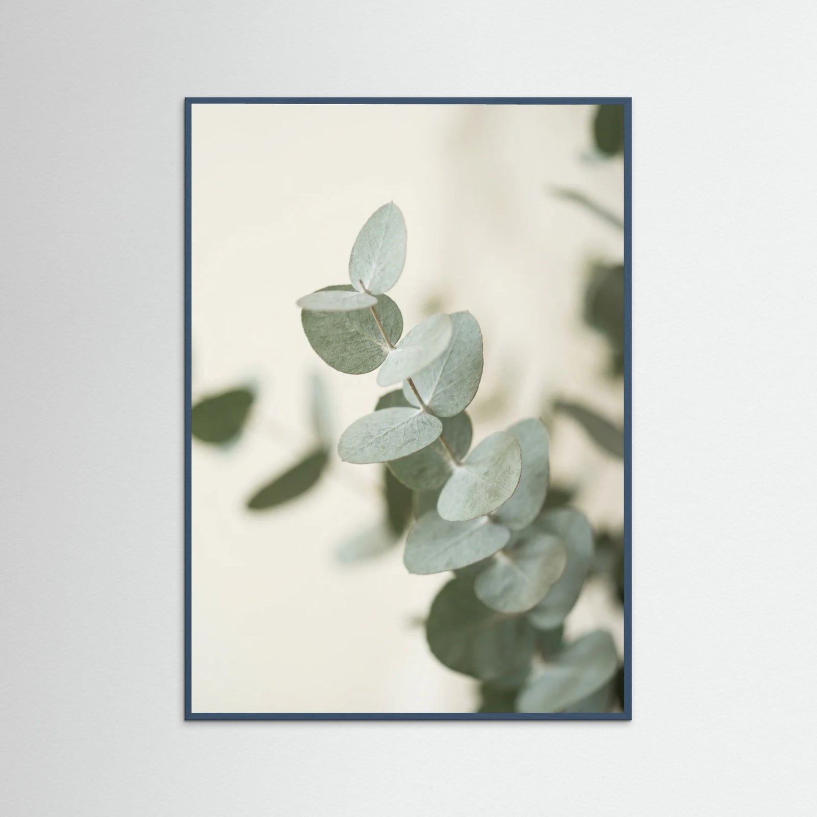 Teal Wood Verdant Calm