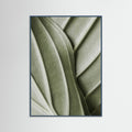 Teal Wood Verdant Folds
