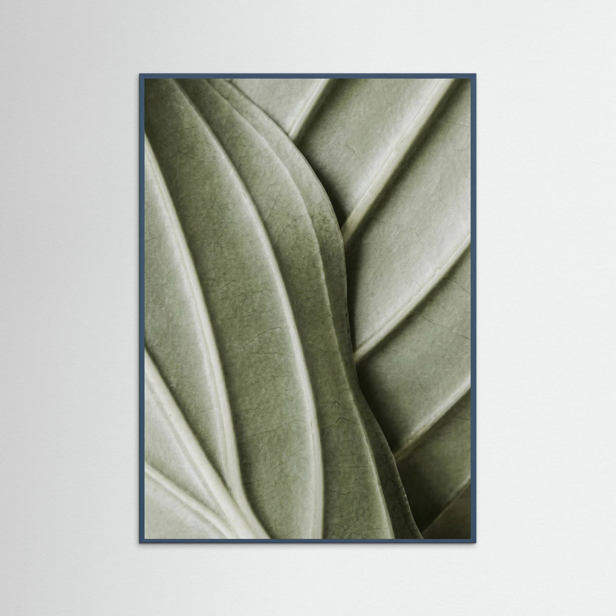 Teal Wood Verdant Folds