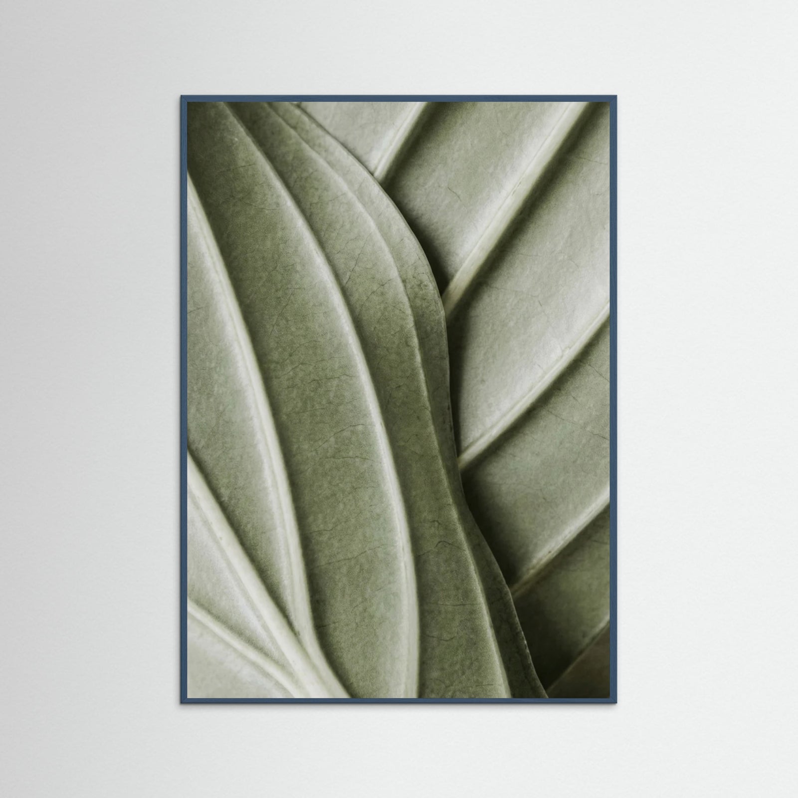 Teal Wood Verdant Folds