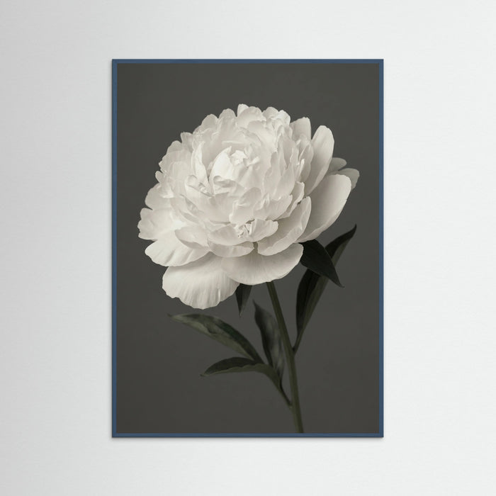Teal Wood White Iris Grace
