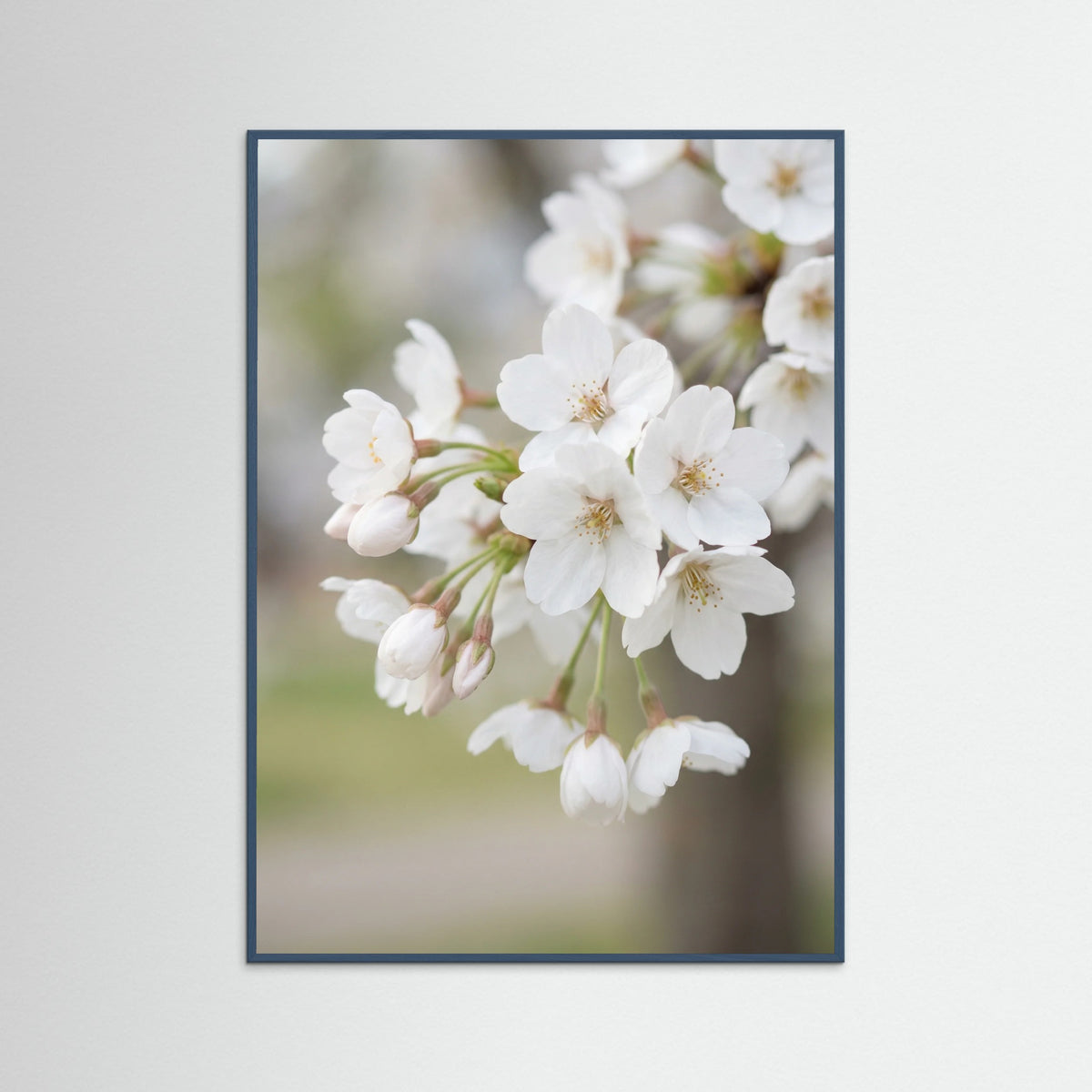 Teal Wood White Magnolia Bloom