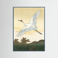 Teal Wood White Peacock Elegance
