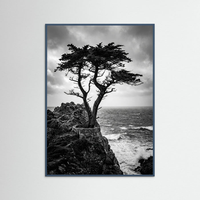 Teal Wood Windblown Grace