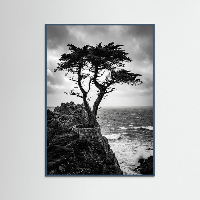 Teal Wood Windblown Grace