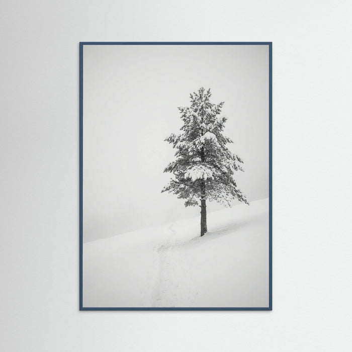 Teal Wood Winter Ascent