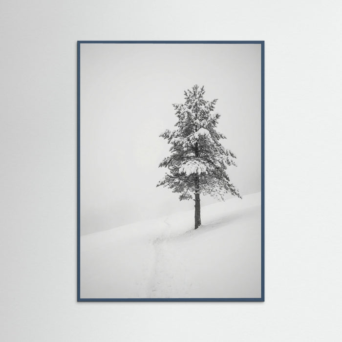 Teal Wood Winter Ascent