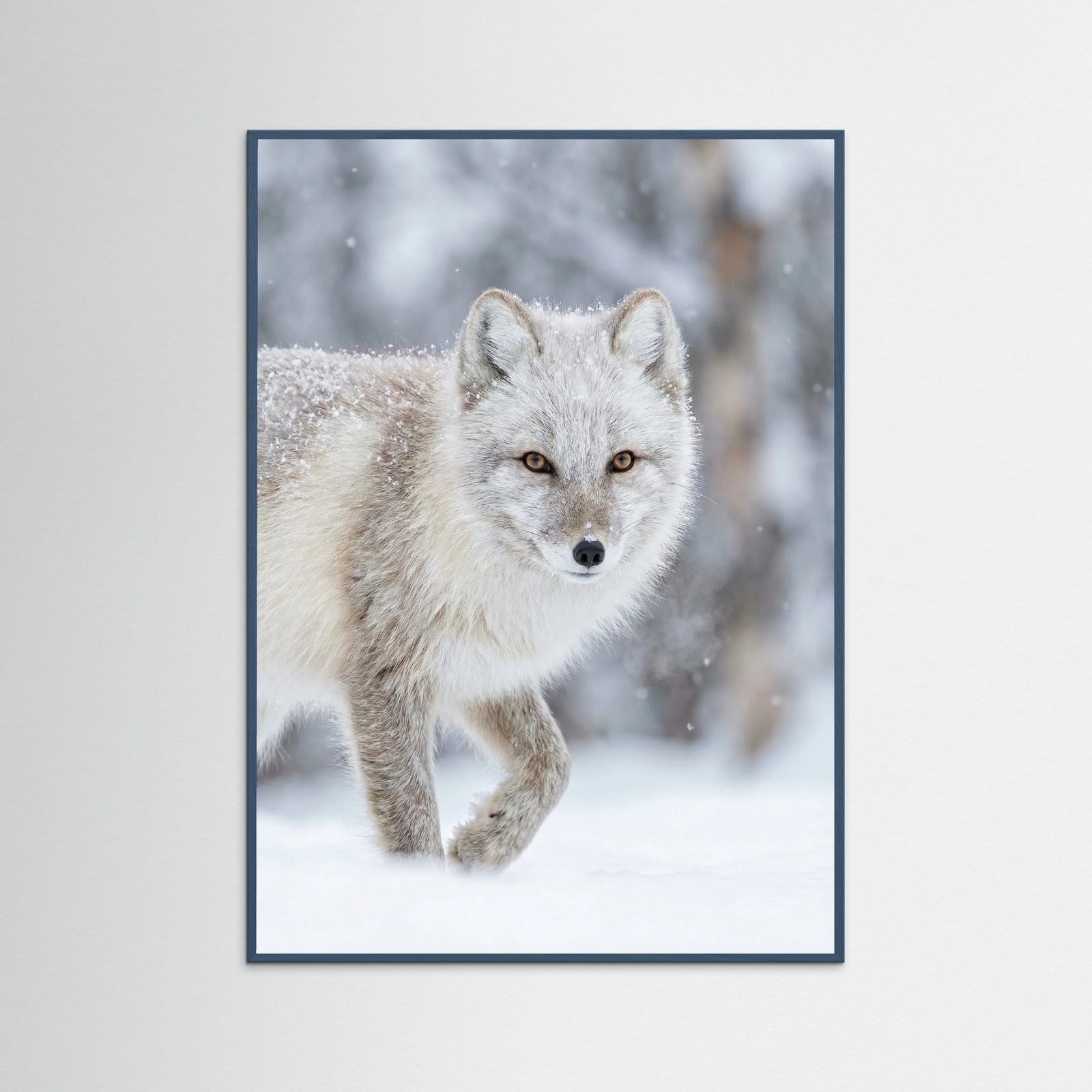 Teal Wood Winter Majesty