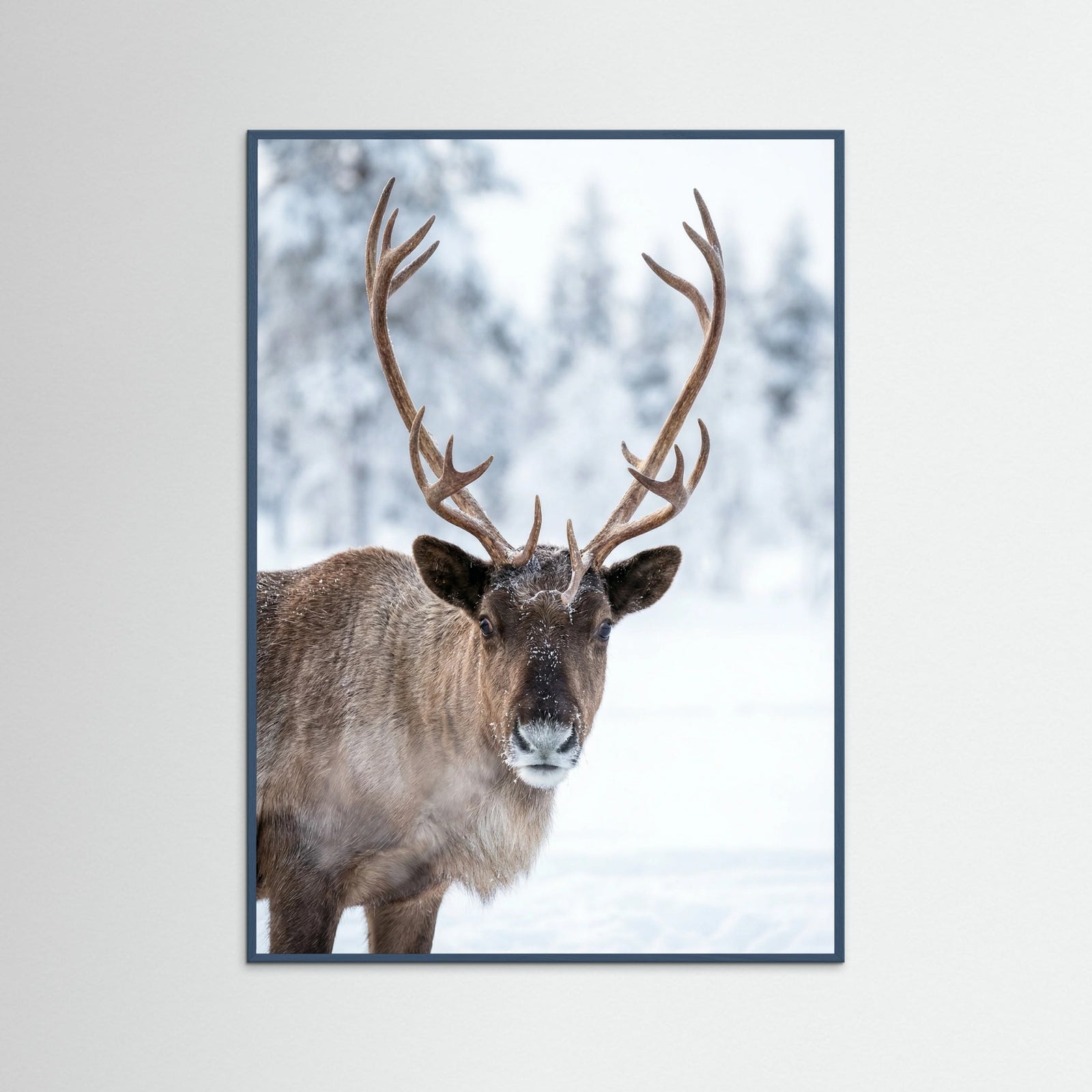 Teal Wood Winter Reindeer Run